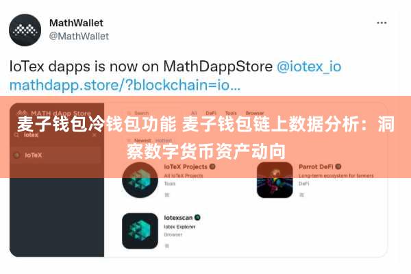 麦子钱包冷钱包功能 麦子钱包链上数据分析:洞察数字货币资产动向