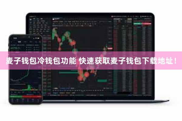 麦子钱包冷钱包功能 快速获取麦子钱包下载地址!