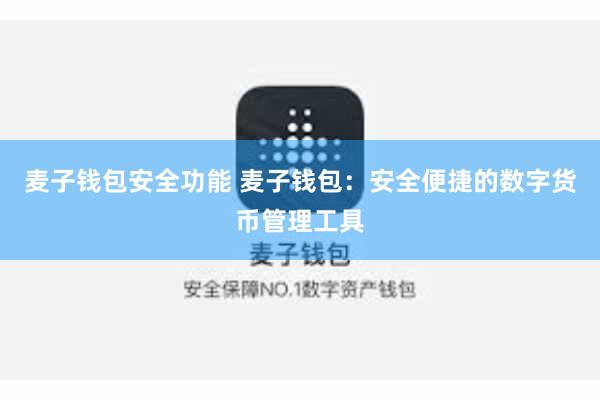麦子钱包安全功能 麦子钱包:安全便捷的数字货币管理工具
