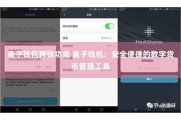 麦子钱包跨链功能 麦子钱包:安全便捷的数字货币管理工具
